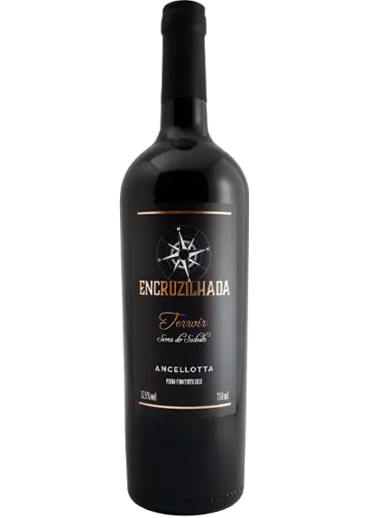 Encruzilhada Terroir Ancellotta Garrafa de Encruzilhada Terroir Ancellotta com fundo sofisticado, disponível na Vinoteca Junqueira